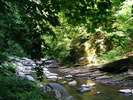 DSCF5121