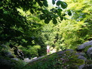 DSCF5171