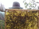 Fotografii-0019