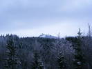 DSCF7614