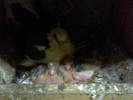 Picture 018