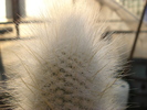 DSC02313