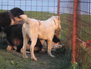 poze 01.05.2009 183