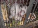 Picture 042