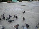 DSCN0152