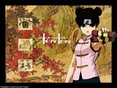 tenten_-_anime-8404