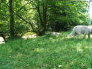 DSCF2637
