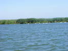 Picture 277