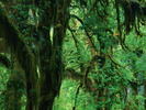 31SC065