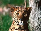 webshots122