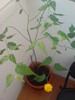 DSC02397