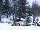 DSCF7629