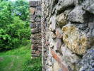 DSCF0592