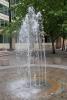 Resize of DSC_0205