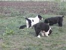 poze 04.05.2009 171
