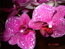 DSC02589