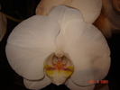 DSC02587