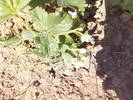 Fotografii-0038