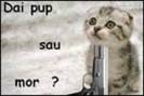 pup sau mor?