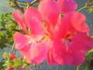 DSC01056
