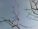 DSC00657