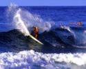 hawaii surfing