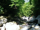 DSCF5229