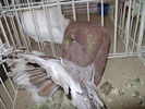 Picture 104