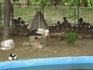 Picture 124