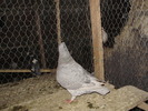 P9040430