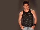 shahrukh_khan_wallpapers_024