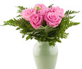 Buchete-monocolore-9-trandafiri-roz-in-vaza-poza-t-P-n-7%20trandafiri%20roz