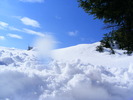 DSCF6941