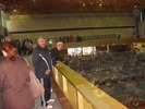 radu si mitica la expo