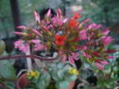 Picture 038