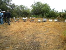 DSCN1608
