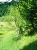 DSCF1008