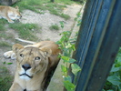 Picture 004