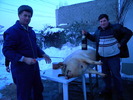 DSCN4037