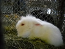 DSCN0203