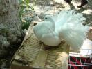 DSC00354