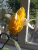 DSCF1713