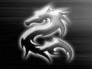 Imagini Artistice Desktop Dragon_thumb