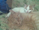 Imag047