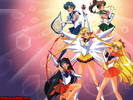 sailor-moon-cool-wall[1]