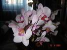 DSC02610