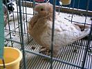 PICT0154