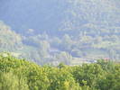 DSCF0467