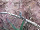 Picture 137