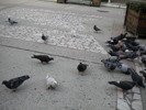 DSCN0148